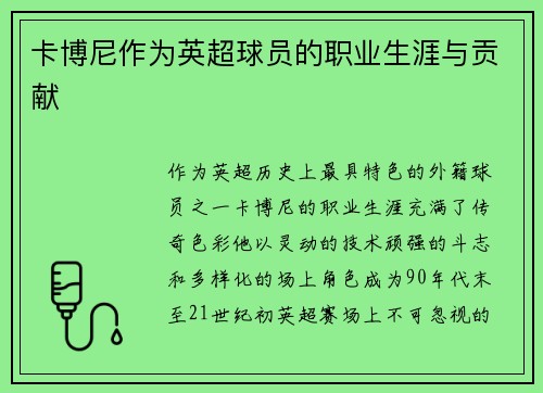 卡博尼作为英超球员的职业生涯与贡献